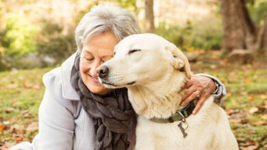 Happiness Of An Aged Pet