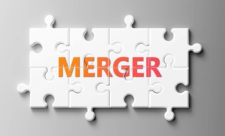 Planning a Merger