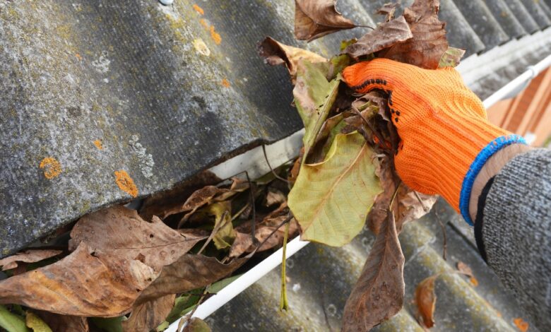 Gutter Maintenance for Homeowners