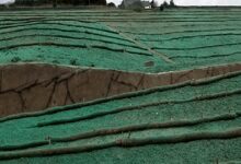 Hydroseeding for Erosion Control